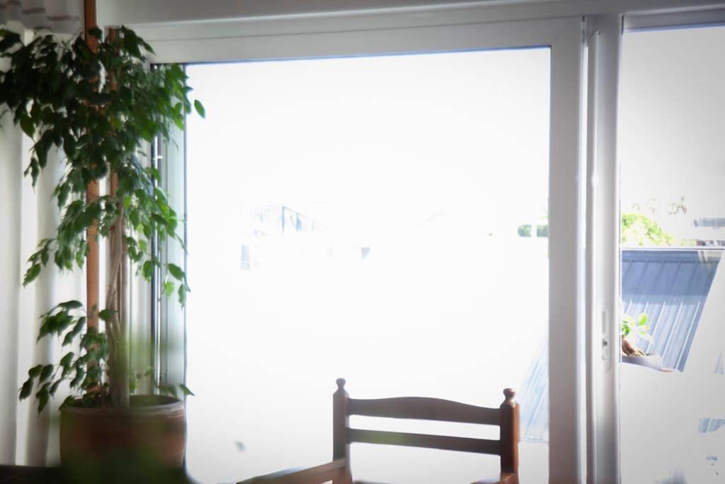 Stavros Amazing Apartment In The Centre Of Kos エクステリア 写真