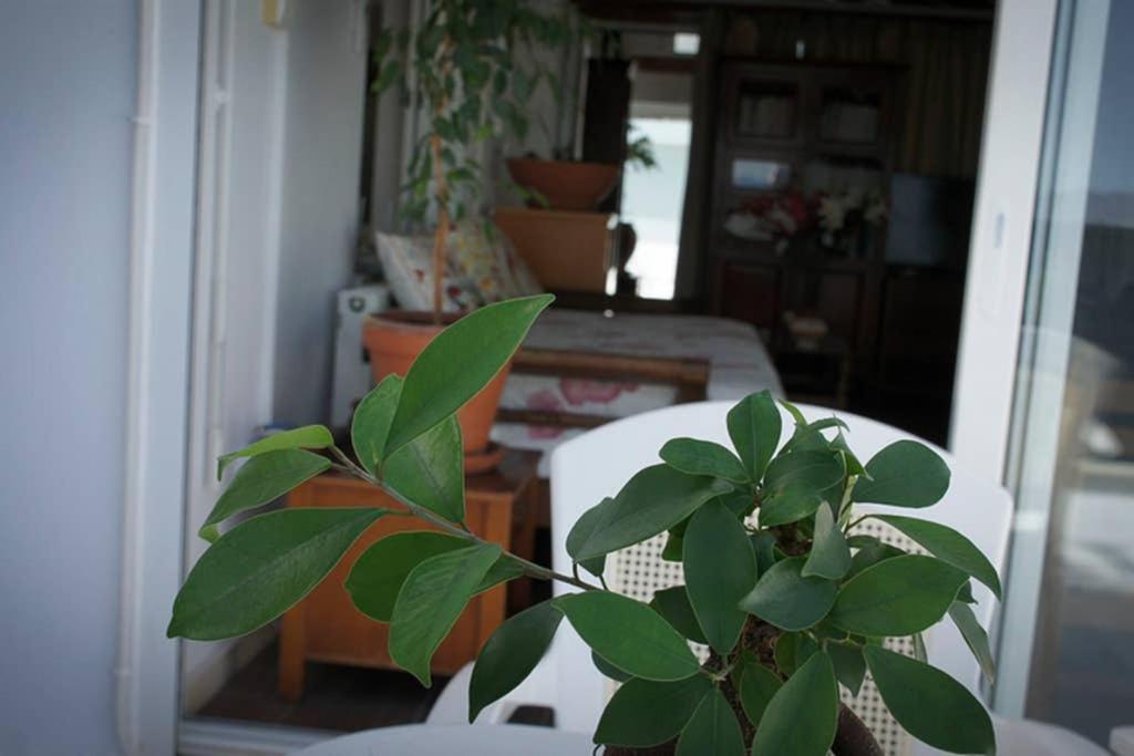 Stavros Amazing Apartment In The Centre Of Kos エクステリア 写真