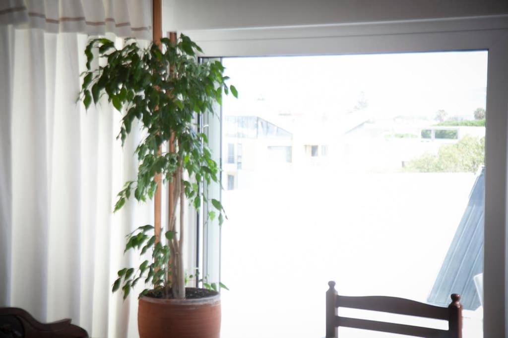Stavros Amazing Apartment In The Centre Of Kos エクステリア 写真