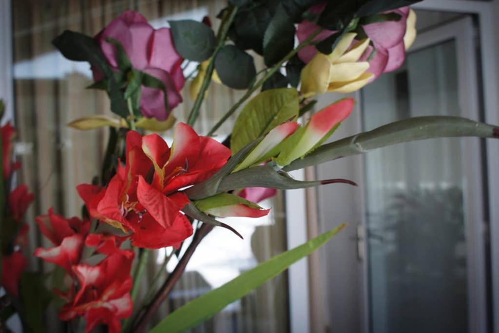 Stavros Amazing Apartment In The Centre Of Kos エクステリア 写真