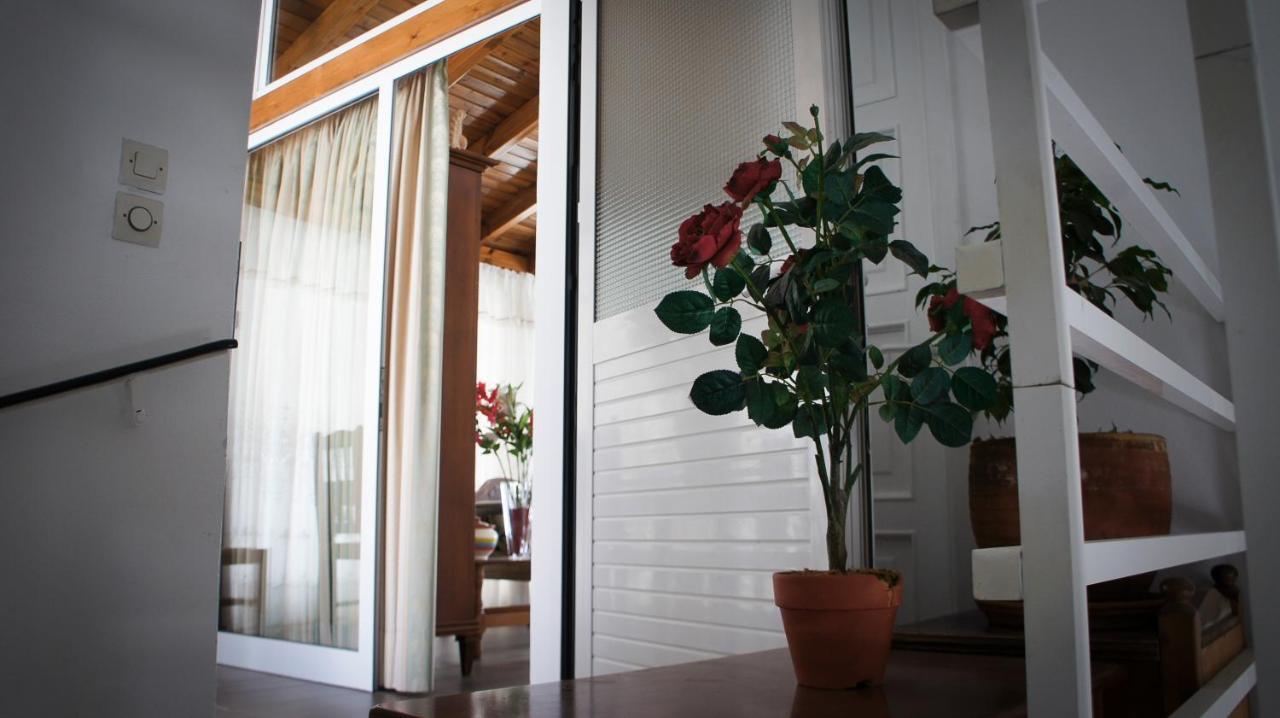 Stavros Amazing Apartment In The Centre Of Kos エクステリア 写真