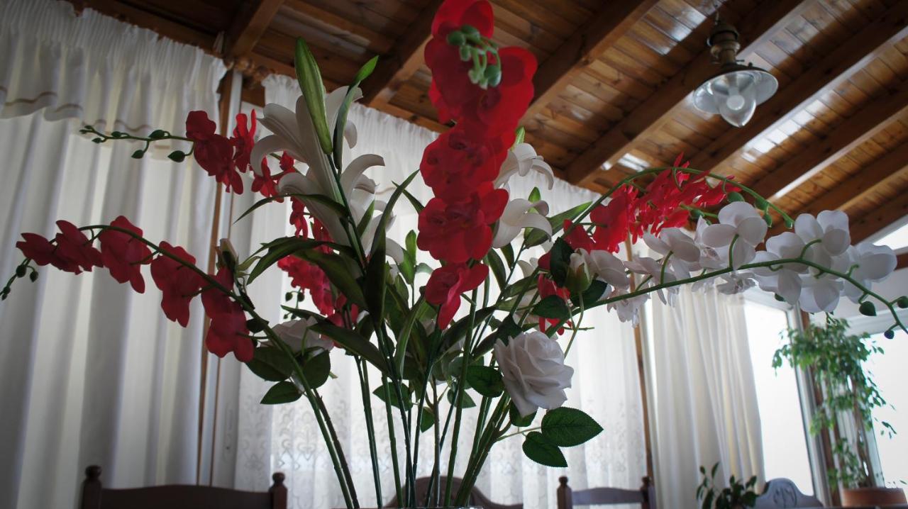 Stavros Amazing Apartment In The Centre Of Kos エクステリア 写真